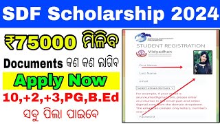 SDF Scholarship Apply Step by Step Process 2024Odisha SDF Scholarship Big Update 2024 75000₹ ମିଳିବ [upl. by Neils624]