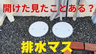 排水桝 汚水桝 雨水枡 開けたことありますか？ 旧宅に有りがちの 地面 垂れ流し状態になってませんか？ 異臭・陥没の原因になります。 [upl. by Nyraf971]