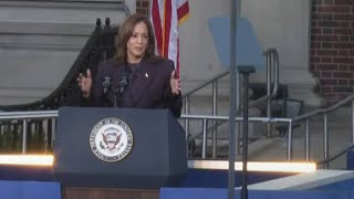 2024 US Election Why Did Kamala Harris Lose to Donald Trump [upl. by Mezoff346]