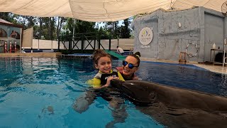 Delfintherapie Kemer  Sofia [upl. by Hyrup]