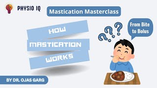 Mastication masterclass  How mastication works  from bite to bolus  mastication muscles [upl. by Filahk]