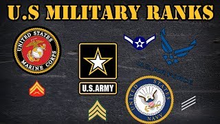 Comparing the different ranks in the US Military [upl. by Cornel]