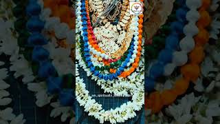 Nagumomu Kanaleni song Sri Venkateswar swamy vari mangala harati video live balajitemple iscon [upl. by Sabra848]