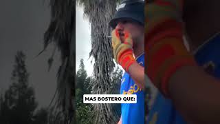 MÁS BOSTERO QUE boca siempreboca humor [upl. by Medwin]