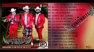 Contenibles De Sinaloa DISCO COMPLETO CON TOLOLOCHE 2018 [upl. by Stortz]