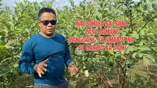 Isang pong paraan sa pag uumpisa ng orchard [upl. by Han134]