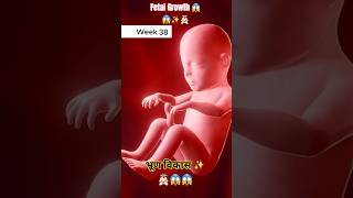 👼🏻✨witness the incredible journey of fetal growthभ्रूण का विकास parametersshortsytshorts 4k [upl. by Eliga]