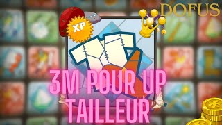 DOFUS 3M POUR UP TAILLEUR [upl. by Mcdonald967]