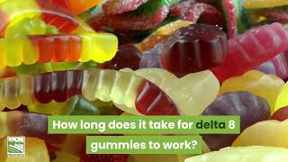 Delta 8 Gummies  Vegan D8 Gummies 10mg amp 25mg  20 Count Delta 8 THC Gummies [upl. by Ennailuj]