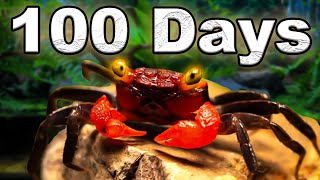 I Simulated an Island ecosystem for 100 days [upl. by Rebane]