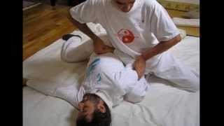 Trattamento Shiatsu del meridiano dellIntestino Crasso  Da Chang [upl. by Claiborne]