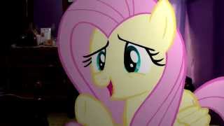 Fluttershy does her thing MLP in Real Life [upl. by Nerraj360]