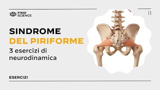 3 esercizi per la Sindrome del Piriforme  Deep Gluteal Syndrome [upl. by Dnomhcir]