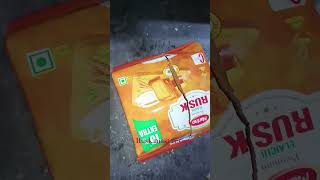 Rust toast review 110 rewiew 10 snacks food day 1010 [upl. by Ashman]