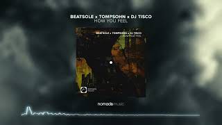 Beatsole x Tompsohn x DJ TISCO  How You Feel [upl. by Ednyl]