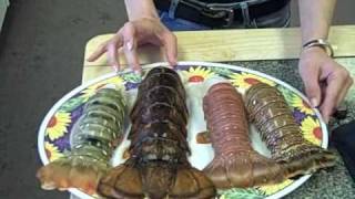 Four Types of Lobster Tails in the Lobster Gram Test Kitchen [upl. by Anwat]