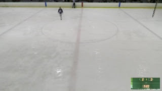 Broomball Australia National Championships 2018  FINALS [upl. by Gahl559]