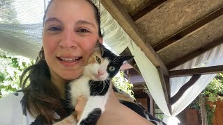 YENİ SAHİPLENDİĞİMİZ KEDİMİZ KARAMELLE TANIŞIN🐈😻🐾🐾kedilerindünyası kediler vlog [upl. by Pavior]