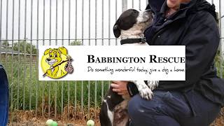 Babbington Rescue  Nottingham [upl. by Rhona191]