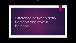 Difference between actin filaments and myosin filaments [upl. by Enaujed]