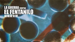 La guerra contra el fentanilo  Documental [upl. by Meridith]