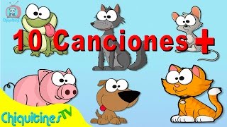 El sonido de los animales mas 10 canciones [upl. by Daveta]