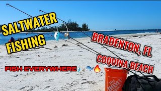 Saltwater Fishing in Bradenton FL Coquina Beach FISH WERE EVERYWHERE [upl. by Stallworth]