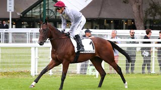 WOODSHAUNA wins the 2024 Prix Nonoalco [upl. by Hopper482]