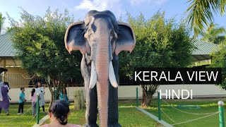 kerala view hindi conversation with the park [upl. by Jonathon510]