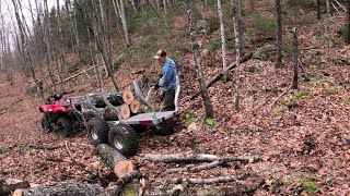 transporting firewood by quad in the mountains in Canada [upl. by Naujak157]