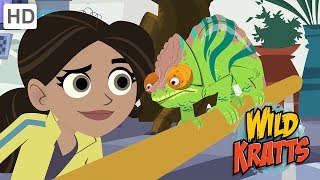 Wild Kratts  Discovering the Secrets of the Animal Kingdom [upl. by Llennor817]