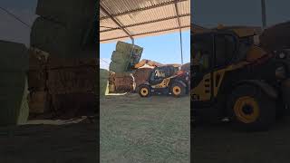 Dieci telehandler stacking big pack lucerne bales [upl. by Jedlicka]