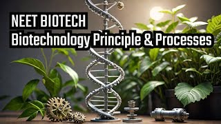 Biotechnology  Principle amp Processes  Biology  NCERT  NEET [upl. by Alrahc]