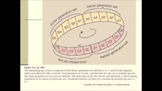 Cultural Anthropology  Chapter 12 [upl. by Mick]