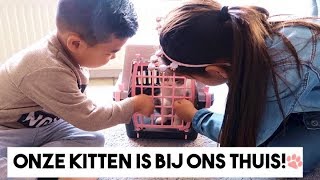 ONZE KITTEN SAMEN OPHALEN amp EERSTE KEER BIJ ONS THUIS VLOG175  SUNSEEREE FAMILIE VLOG [upl. by Anida]