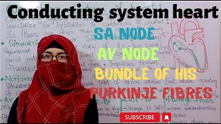 Conducting system of heart  SA node  AV node  Bundle of HIS Bundle branche purkinje Fibres [upl. by Anirtak244]