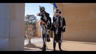 French 2nd Hussar Regiment 1805  Soldiers of History napoleonicwars austerlitz napoleon [upl. by Sullecram]