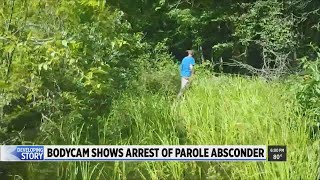 Bodycam video shows arrest of parole absconder [upl. by Murtha]