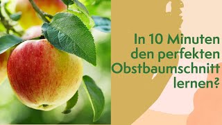 In 10 Minuten den perfekten Obstbaumschnitt lernen [upl. by Oniram]