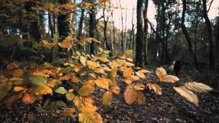 Castlewellan Mountain Bike Trails [upl. by Rellek605]