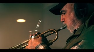 Chad LefkowitzBrown  Franklin Street Feat Randy Brecker [upl. by Frankel]