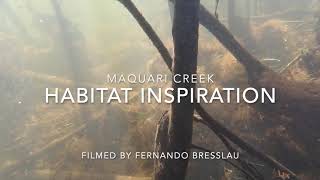 Maquari Creek Habitat Inspiration [upl. by Naves]