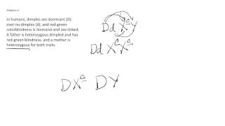 Genetics Problems Based on Mendels Laws  Sex Linkage [upl. by Aleen134]