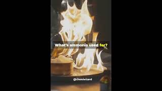 Lets know aboutThe HaberBosch Process CHEMIWIZARD⚗️ trending shorts chemistry chemiwizard [upl. by Gonsalve]