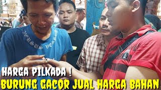 HARGA PILKADA  EMANG BOLEH BURUNG SEGACOR INI DI BANDROL HARGA BAHAN [upl. by Skylar]