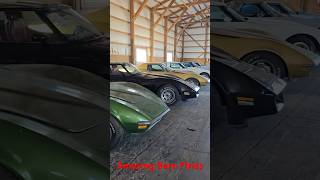 ABANDONED BARN FIND Classic Car Collection Sitting for 20 Years [upl. by Cavil]