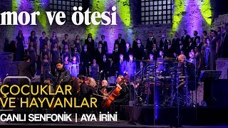 mor ve ötesi  Çocuklar ve Hayvanlar Canlı Senfonik  Aya İrini  Official Video [upl. by Elwood]