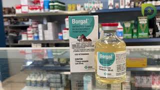 BORGAL 50ML [upl. by Romeo]