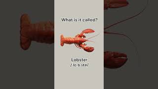 Can you name these seafood learnenglish dailyenglish english vocabulary seafood learn [upl. by Senga735]