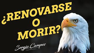 Video Motivacional para Emprendedores Corto 💪 Renovarse o Morir 💪 Reflexion del Dia [upl. by Gusella]